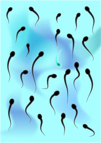 качество спермы в Саратове
