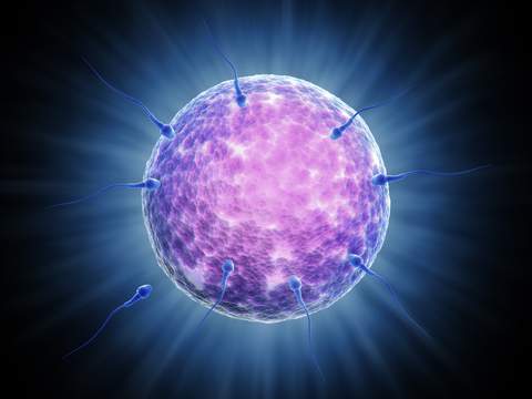 клиника мужского бесплодия